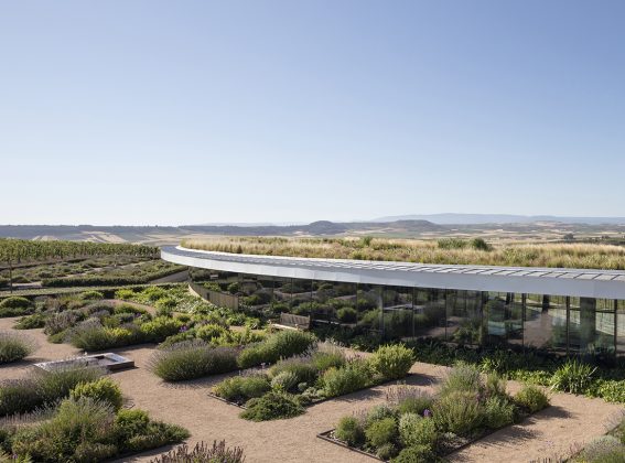 Our winery in Ollauri recognized at the International Architecture Awards